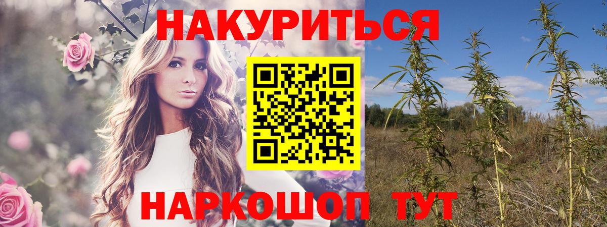 Бошки марихуана сатива Луховицы